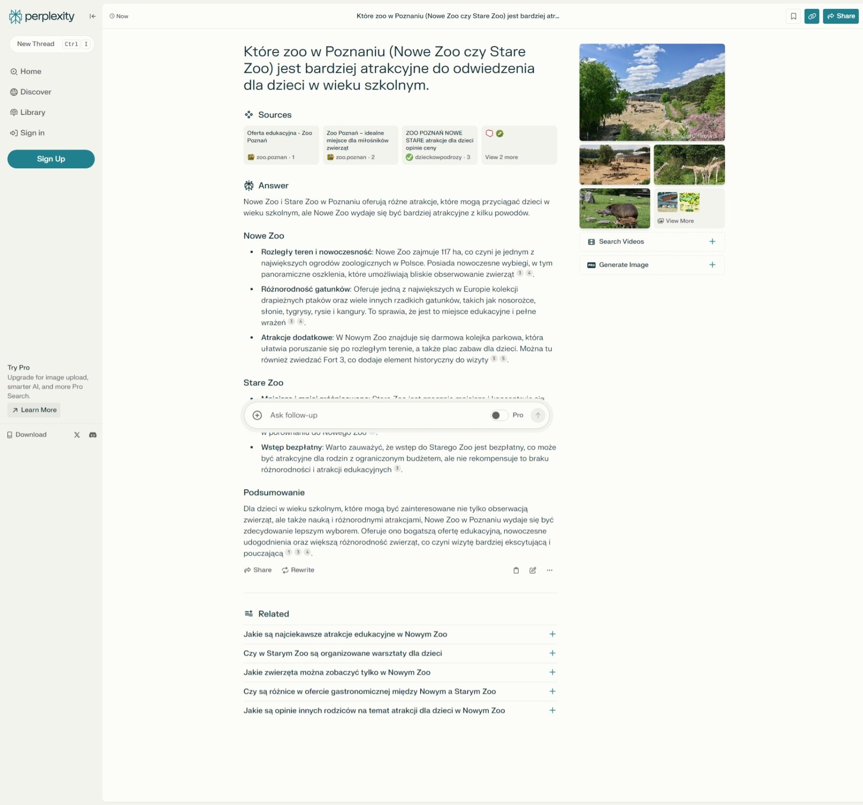 Perplexity AI Search